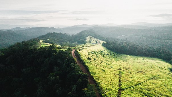 Bosque, Montaña, Árbol, Viajar, Vietnam