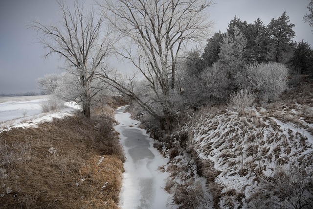 Landschaft, Winter, Frost, Bäume, Bach