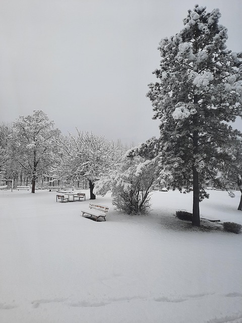 Free Landscape Snow photo and picture