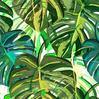 Free Sheets Plants illustration and picture