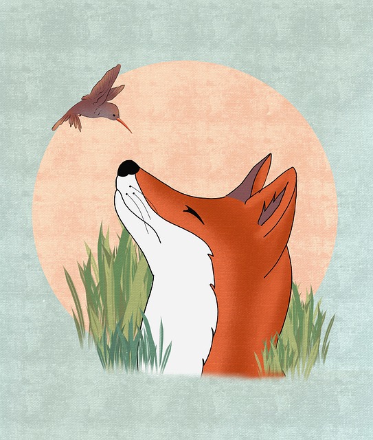 Free fox bird animals illustration