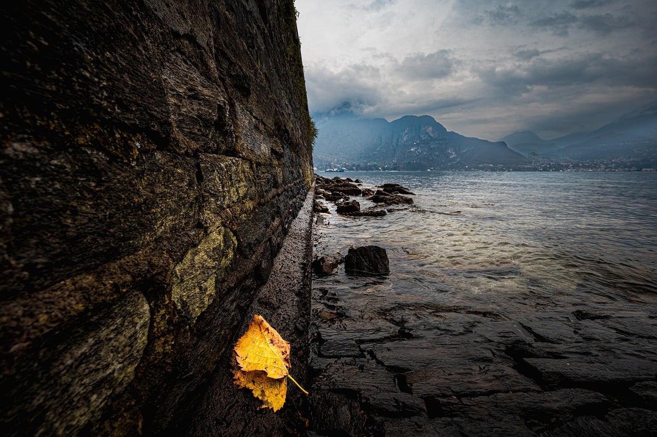 Lake Como Leaf - Free photo on Pixabay - Pixabay