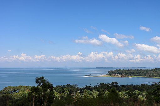 Insel, Viktoriasee, Bäume, Ferien, Sand
