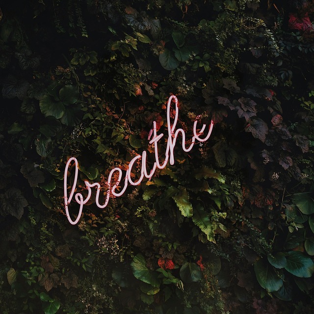 Breathe Oxygen Free photo on Pixabay Breathe Oxygen Free photo on Pixabay