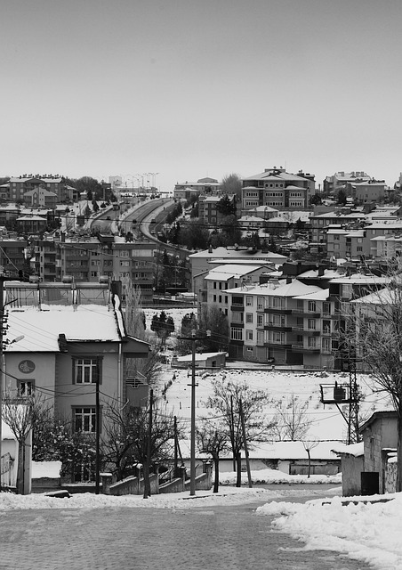 Free Buildings Houses photo and picture