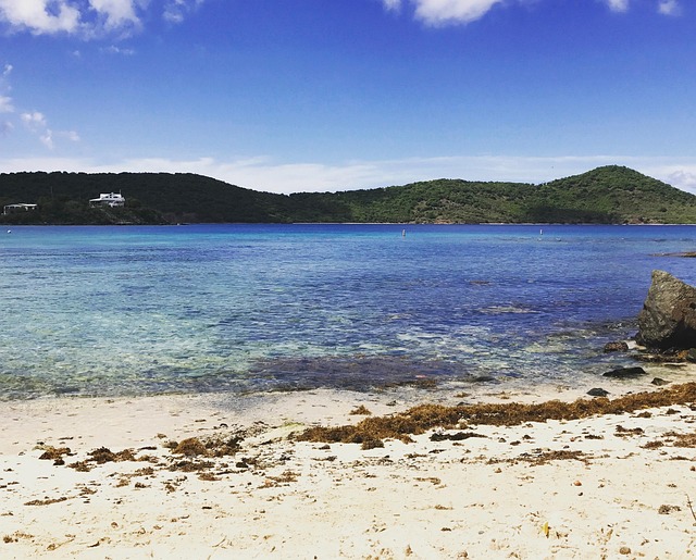 Free Tropical Beach photo and picture