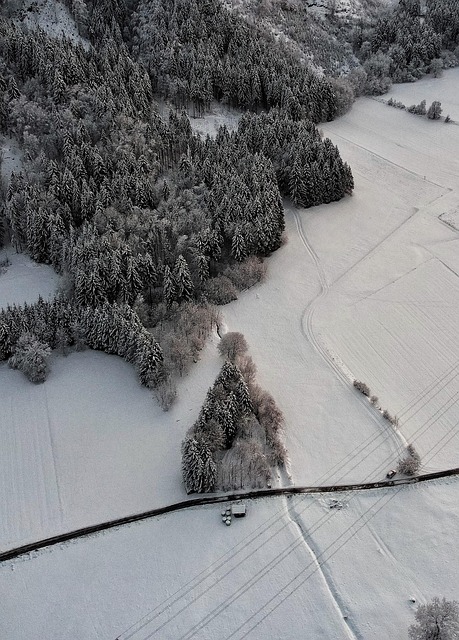 Free Winter Landscape photo and picture