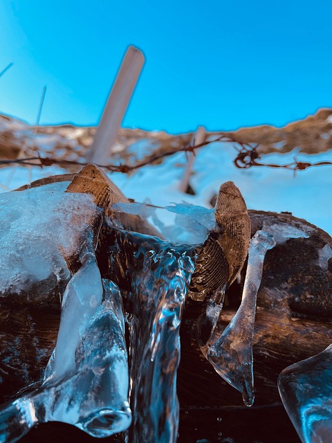Free Water Ice Cream photo and picture