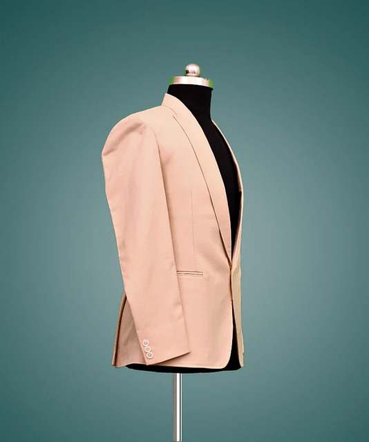 Peach Color Blazer Men'S Free photo on Pixabay Pixabay