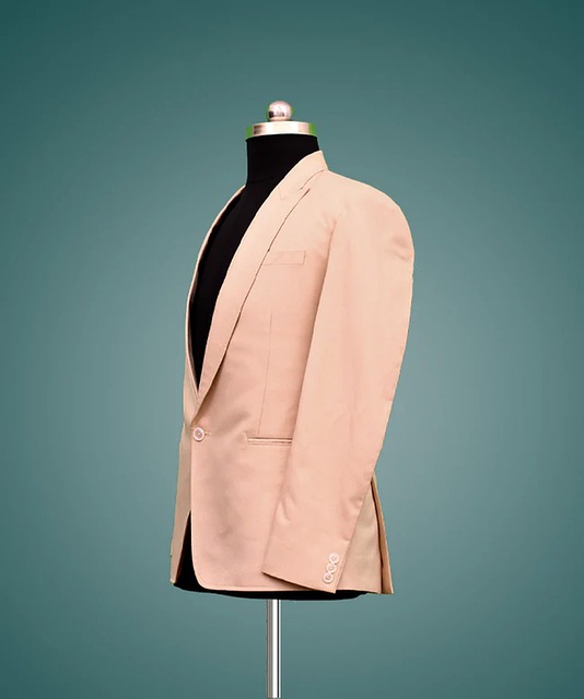 Peach Color Blazer Men'S Free photo on Pixabay Pixabay