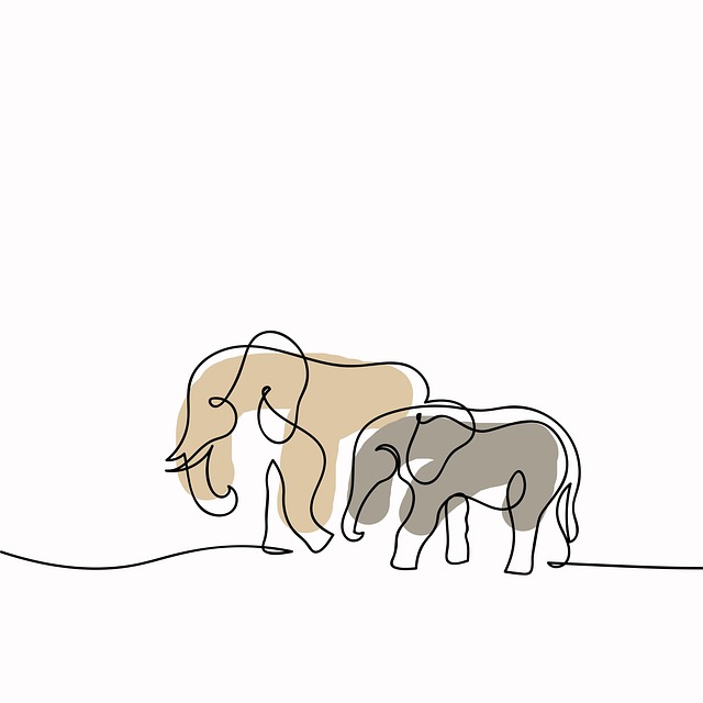 Elefant, Elefanter, Afrika, Safari, Vild