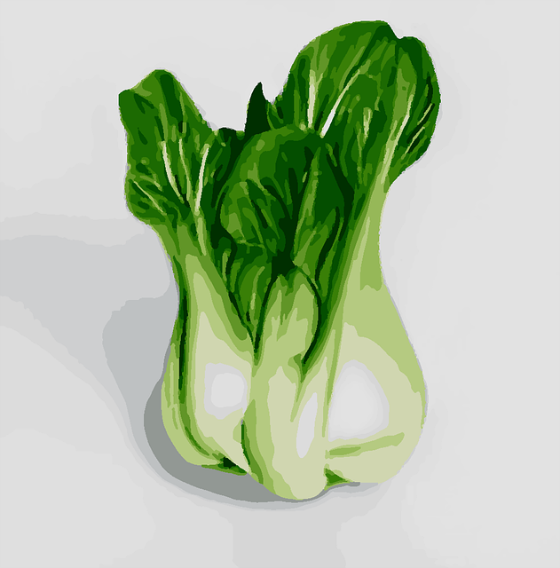 Free bok choy vegetable leafy green illustration