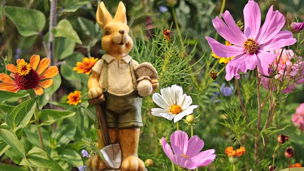 Free Easter Rabbit photo and picture