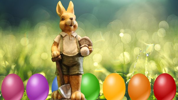 Free Rabbit Easter photo and picture