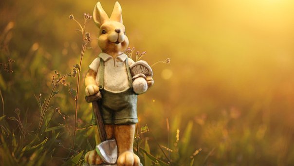Free Easter Rabbit photo and picture