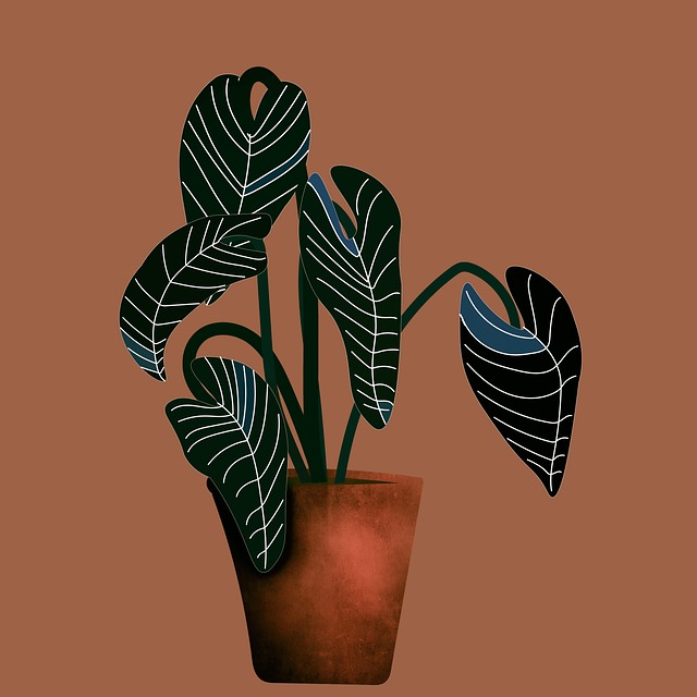 Free plant botany drawing illustration