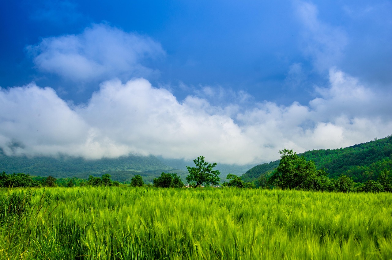 Champ Vert Prairie Paysage Des - Photo gratuite sur Pixabay - Pixabay