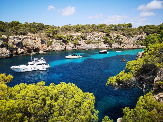 Free Mallorca Mediterranean photo and picture