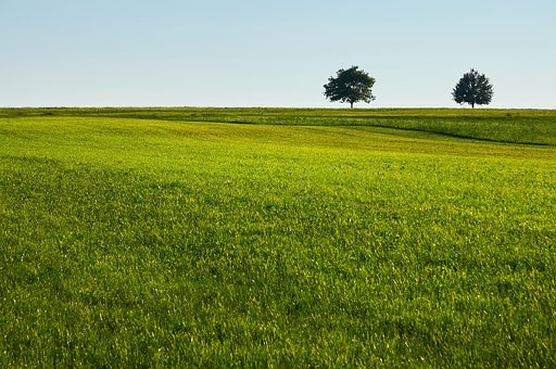 Gras Dnger Rasen - Kostenlose Vektorgrafik auf Pixabay