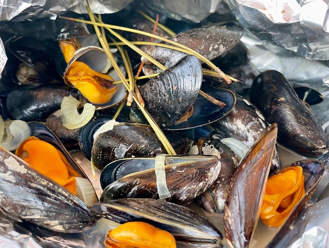 Free Mussel Shell photo and picture