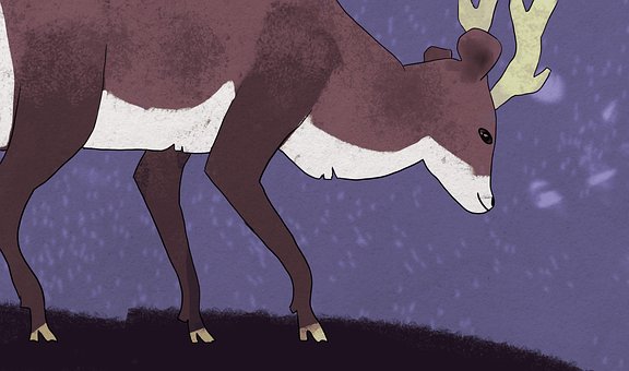 Free Stag Animal illustration and picture