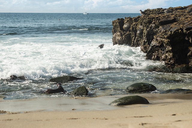 Free Beach Sea photo and picture