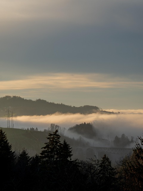 Free Fog Sunset photo and picture