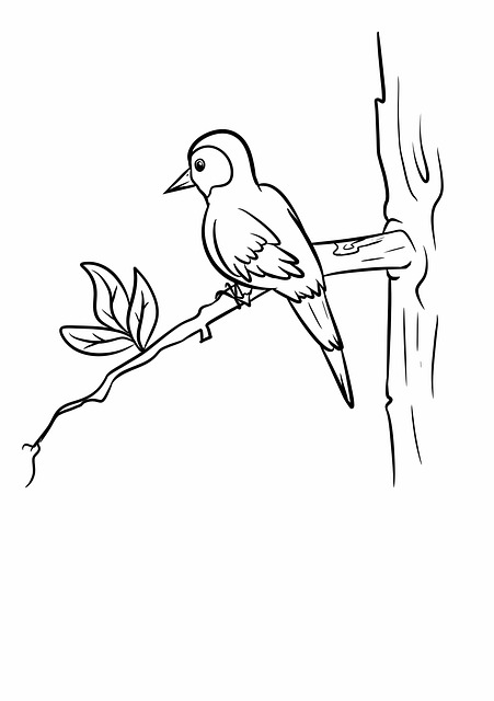 Vogel, Baum, Sitzen, Tier, Natur, Holz