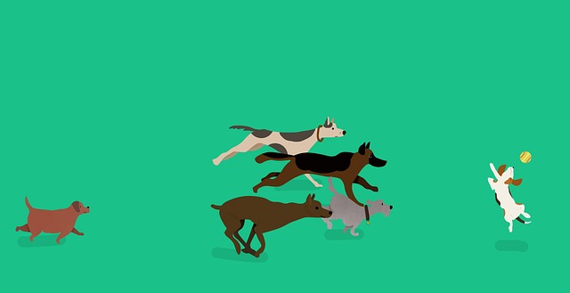 Free dogs playing racing illustration