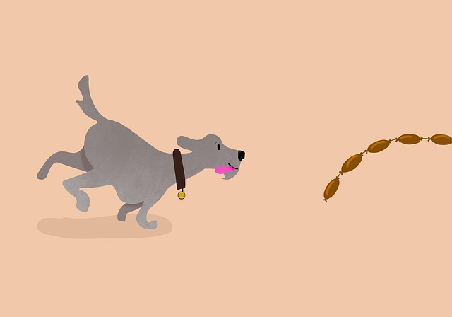 Free sausage dog nature illustration