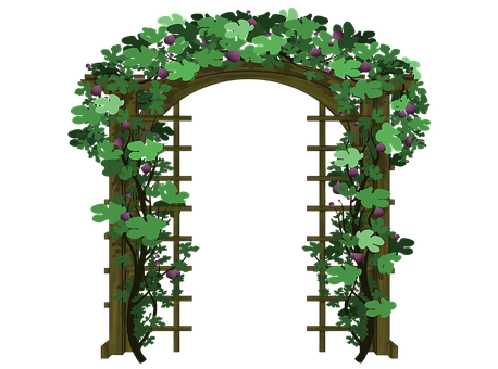 Arc, Fig, Fructe, Ceremonie, Celebrare