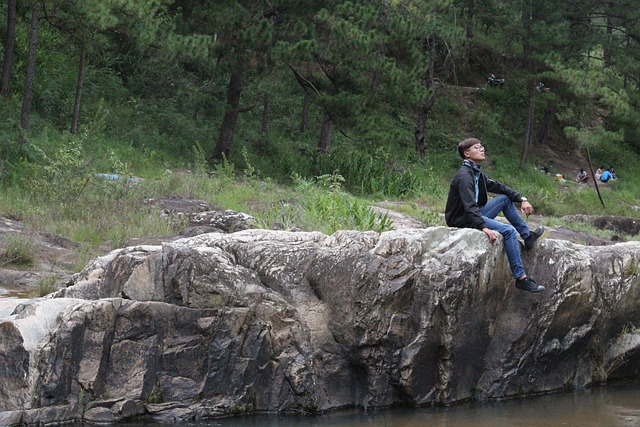 Free Forest Stream photo and picture