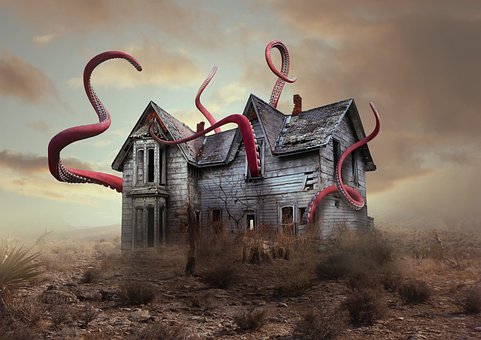 Free Octopus Wallpaper Hd photo and picture
