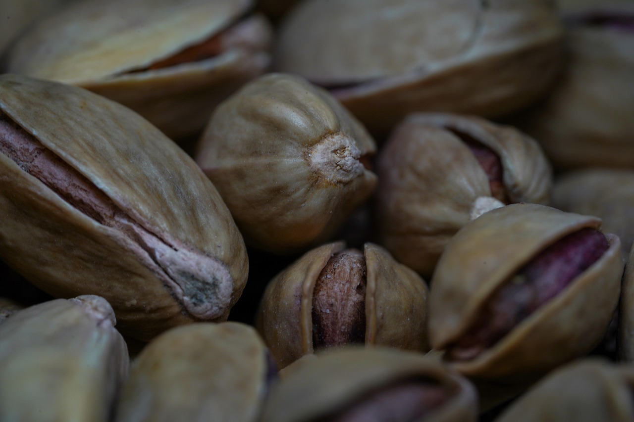 Pistachio Shell Nuts Free photo on Pixabay Pixabay