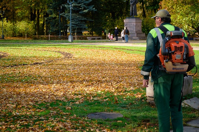 Falde, Riga, Letland, Park, Blad