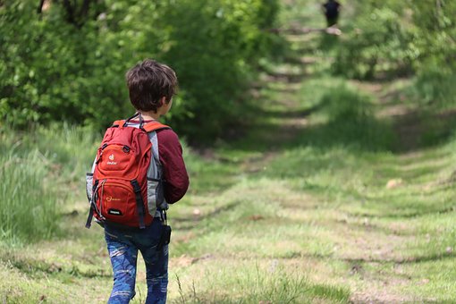 Wanderung, Junge, Wandern, Pfad