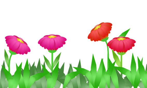 Blomster, Have, Natur, Blomstre