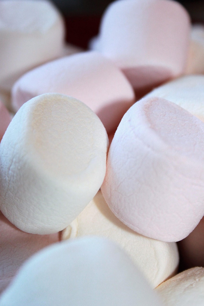 600+ Free Marshmallow &amp; Nature Images - Pixabay