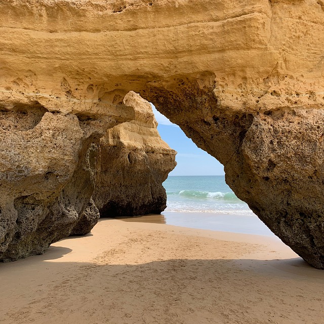 Free Beach Ocean photo and picture