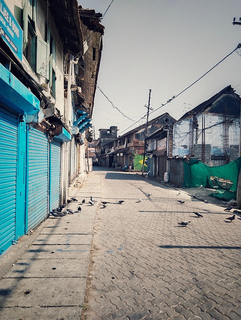 Free Street Photography photo and picture