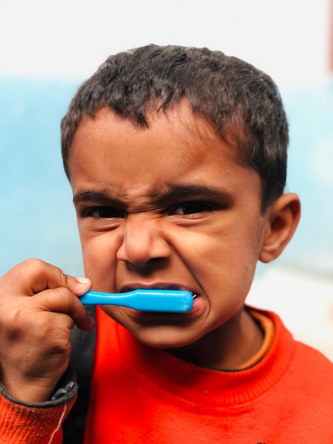 Free Teeth Brush photo and picture
