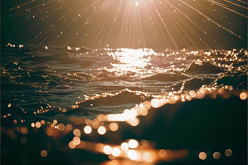 Free Sunshine Beautiful Wallpaper photo and picture