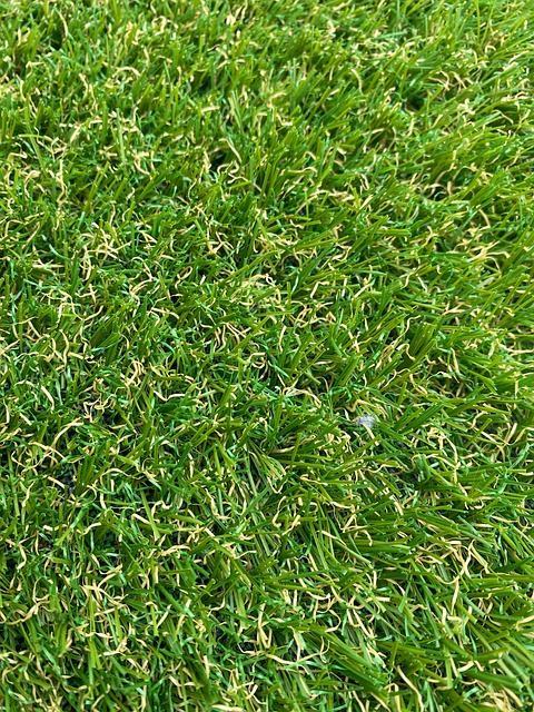 Free Grass Turf photo and picture
