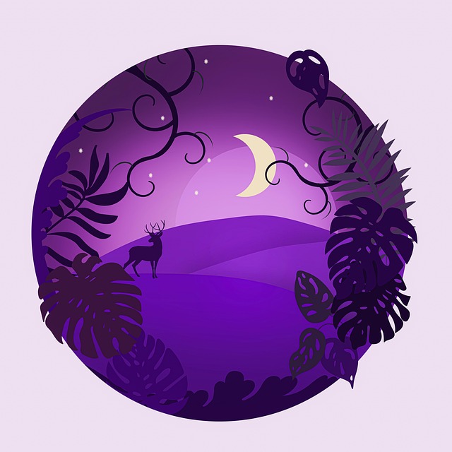 Free monstera plants night illustration