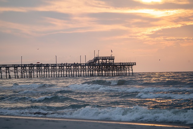 Free Pier Beach photo and picture