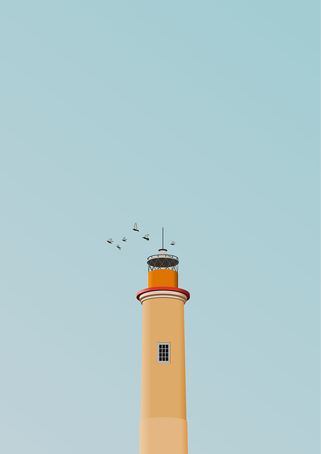 Download free HD stock image of Lighthouse Tower Free lighthouse tower birds vector