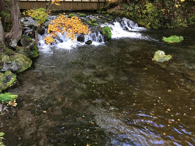 Free Kyogoku Garden photo and picture