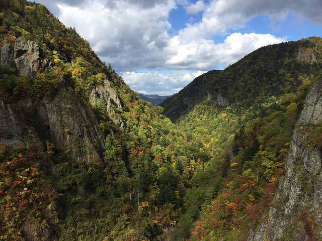 Free Japan Valley photo and picture