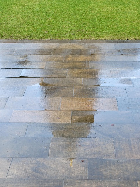 Edinburgh, Stará Škola
