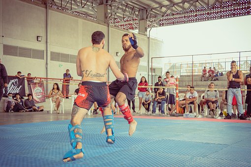Free Mma Boxing photo and picture